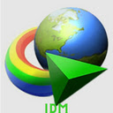 IDM logo